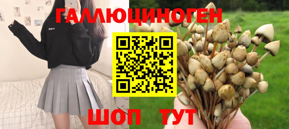 Псилоцибиновые грибы MAGIC MUSHROOMS  Вход с VPN  Фролово  Галлюциногенные грибы Psilocybe 
