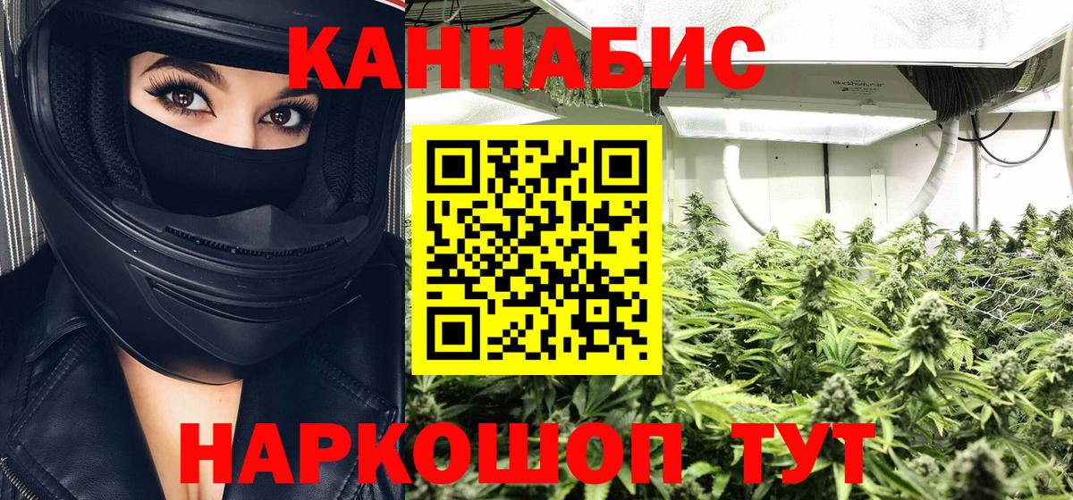 Каннабис планчик Фролово